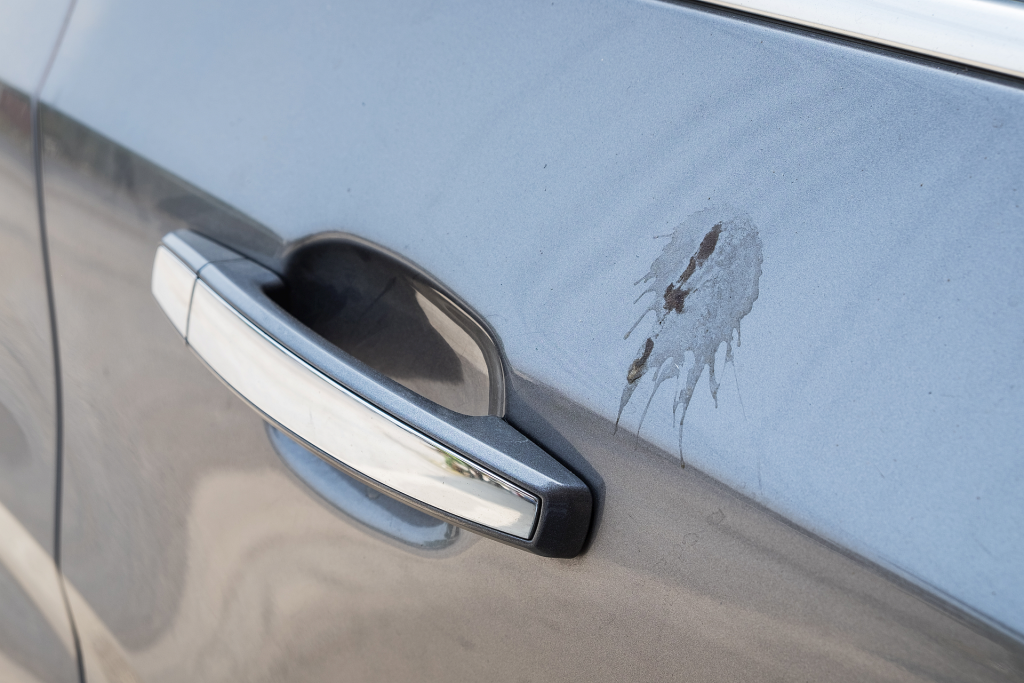 side-door-car-gray-with-feces-bird-poop